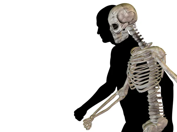 Human anatomy with bones — Stock Photo, Image