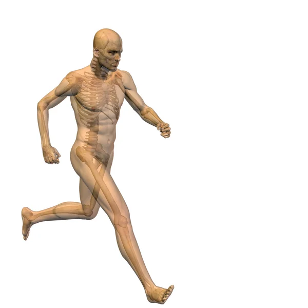 Conceptuele man of menselijke anatomie — Stockfoto