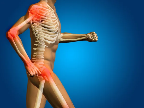Konceptuella mänskliga mannen anatomi — Stockfoto