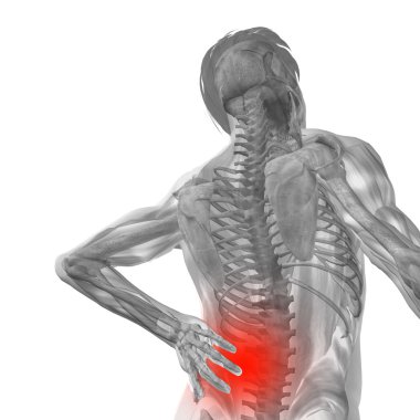 adam anatomisi arka ağrı ile