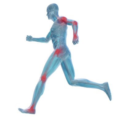 kavramsal adam anatomisi illüstrasyon