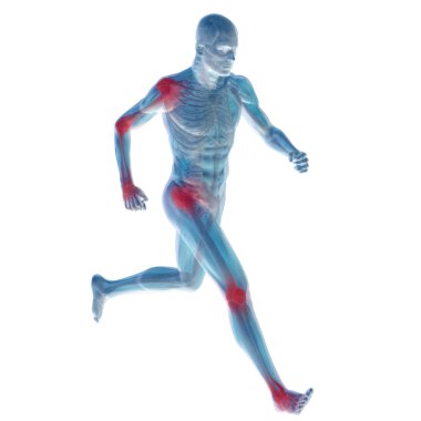 kavramsal adam anatomisi illüstrasyon