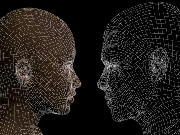 Wireframe human male or female heads — Stock Photo, Image