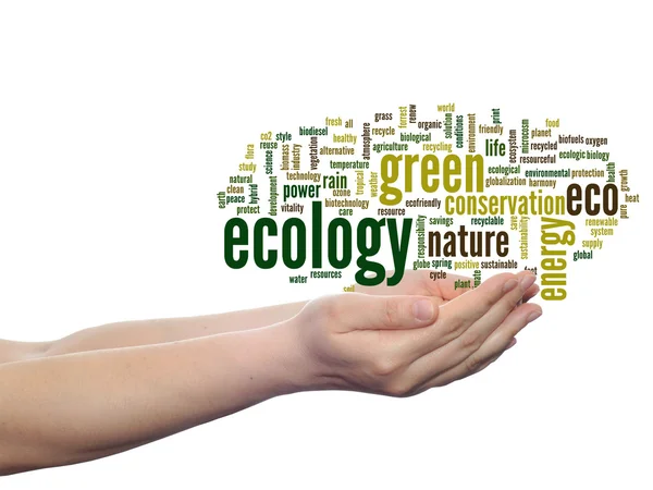 Conservation word cloud text — Stock Photo, Image