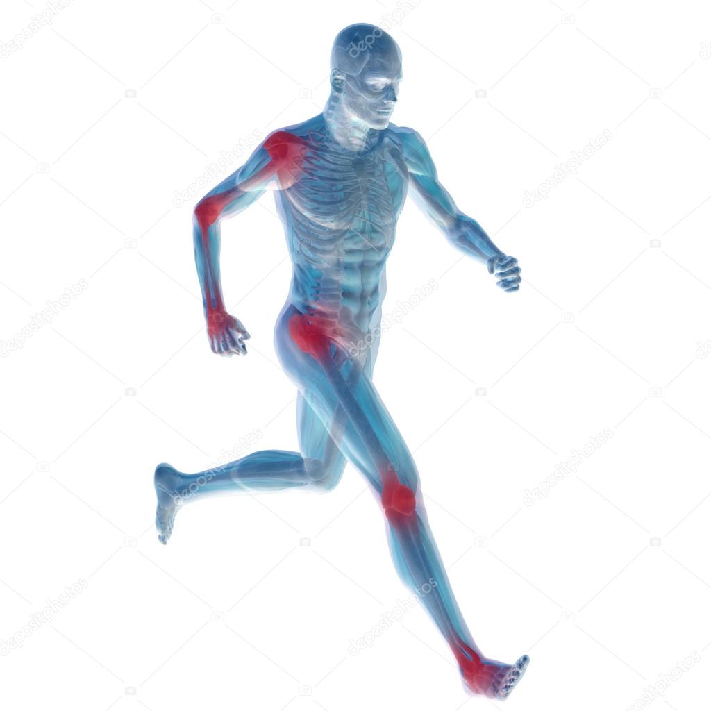 conceptual man anatomy illustration