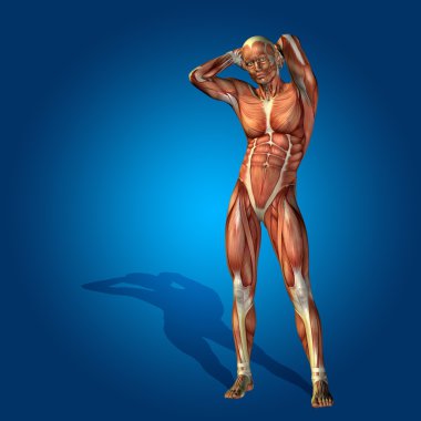 kavramsal stong insan