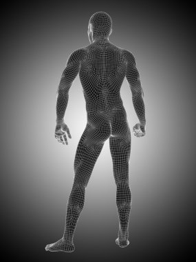 conceptual mesh or wireframe male