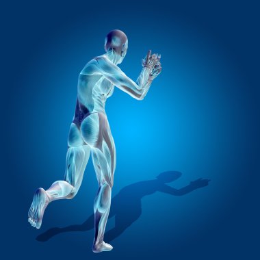 kavramsal stong insan