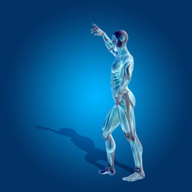 kavramsal stong insan