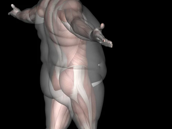 Sovrappeso vs uomo magro — Foto Stock