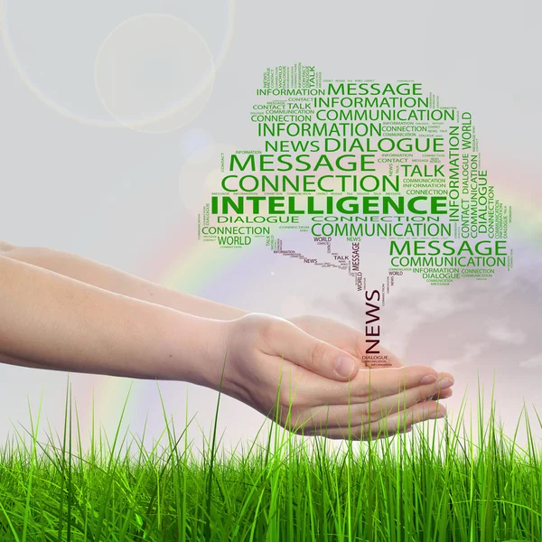 Conceptual tree contact word cloud — Stock Photo, Image