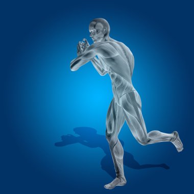 Kavram ya da kavramsal stong insan