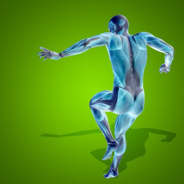 kavramsal stong insan