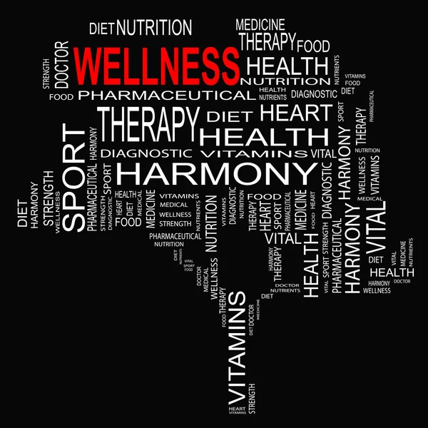 Wellness text jako wordcloud — Stock fotografie