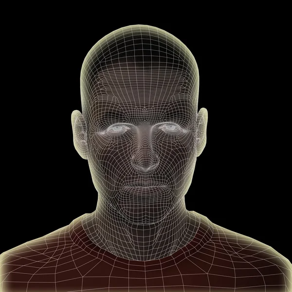Drátový model lidské mužské hlavy — Stock fotografie