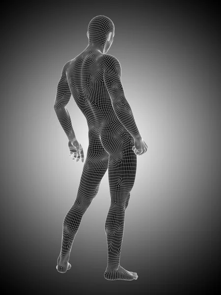 Wireframe male standing — Stockfoto