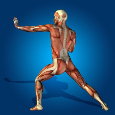 kavramsal stong insan