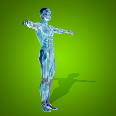 kavramsal stong insan