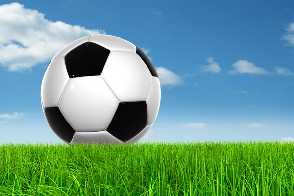 çim futbol topu