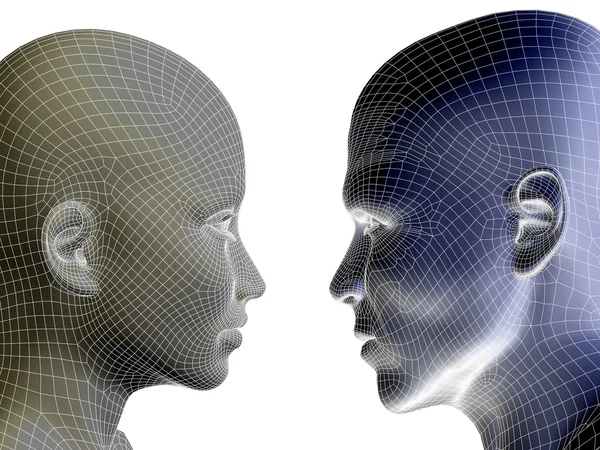 Wireframe human  heads — Stock Photo, Image