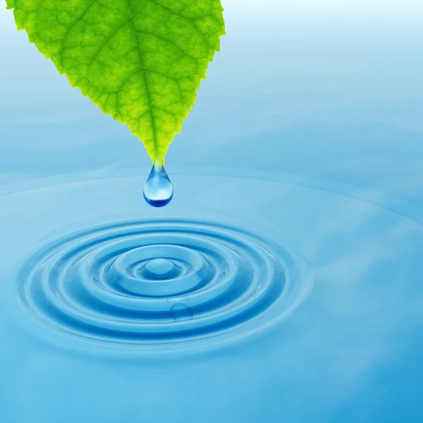 Drop falling from a green fresh leaf — Stock Photo, Image