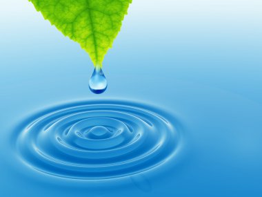 taze yaprak yeşil düşen bırak