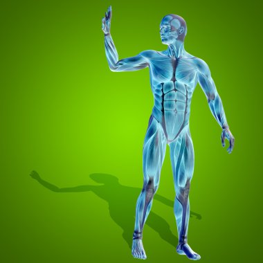 kavramsal stong insan