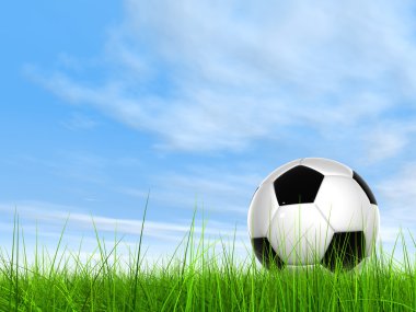 çim futbol topu