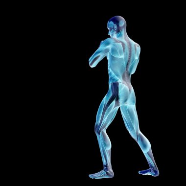human or man with muscles f
