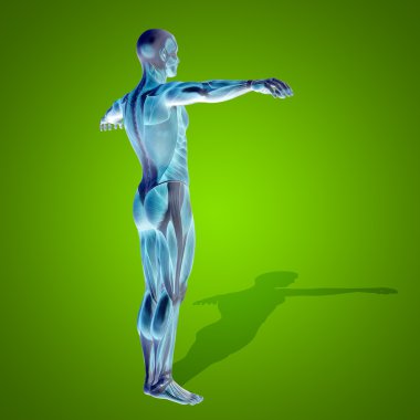 kavramsal stong insan