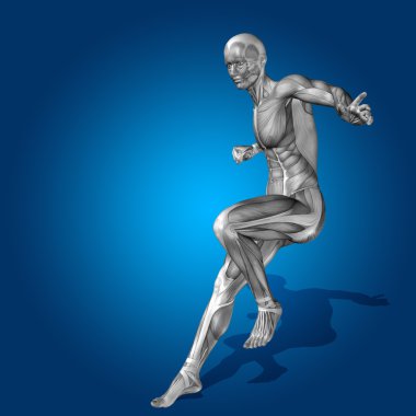 kavramsal stong insan