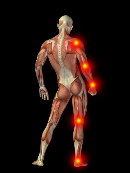 Humano u hombre con músculos — Foto de Stock