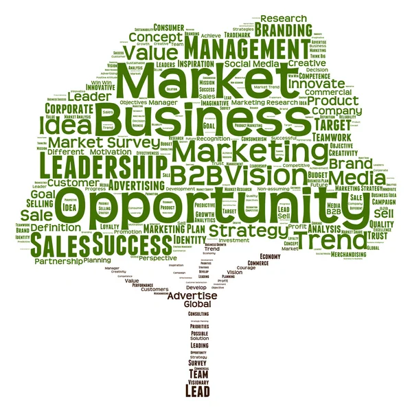 Marketing vezető vagy üzleti szó felhő — Stock Fotó