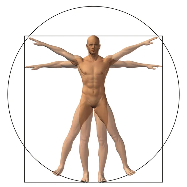 Metapher konzeptuelle Anatomie — Stockfoto