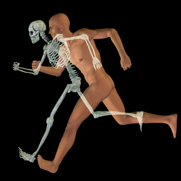 概念人体解剖学设计 — 图库照片
