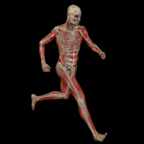 Conceptual man or human  body — Stock fotografie