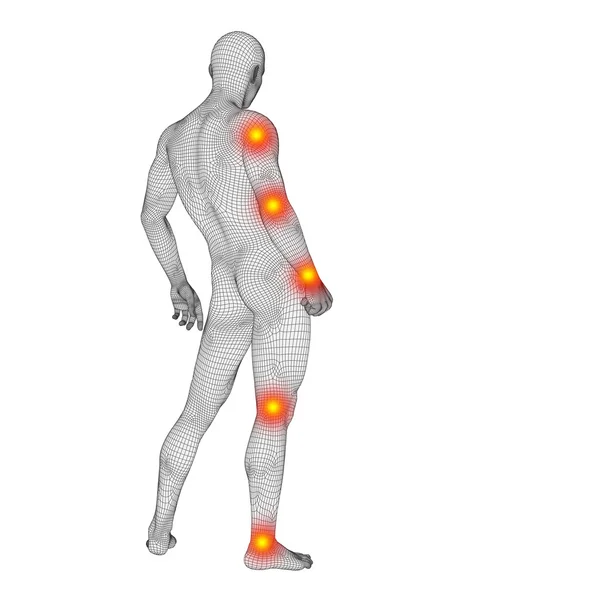 Conceptual human anatomy mesh — Φωτογραφία Αρχείου