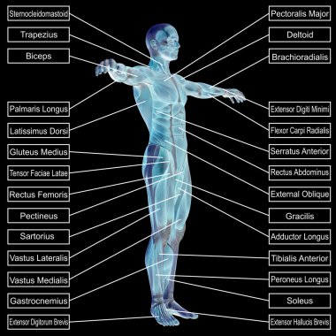 adam kasları ve metin