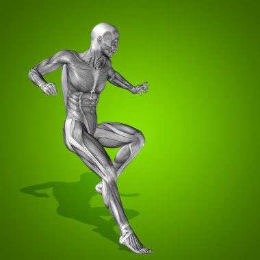 kavramsal stong insan