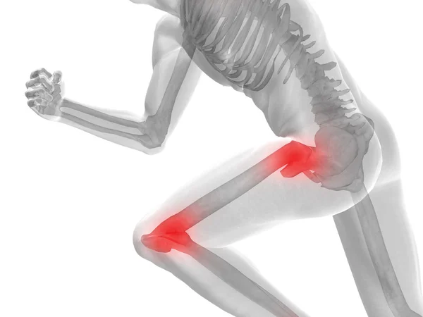 Hög upplösning konceptuell 3d mänskliga ideal för anatomi, medicin och hälsa mönster — Stockfoto