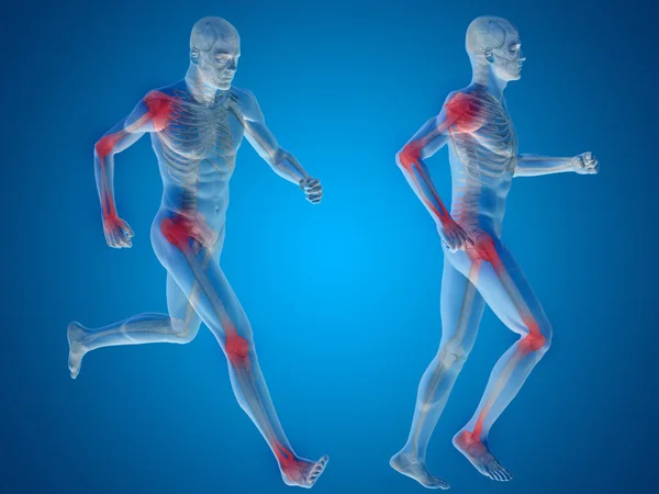 male skeleton pain or ache anatomy