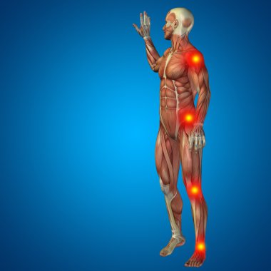 3D insan veya anatomi veya sağlık tasarımları ile eklem için kaslı adam veya kemik ağrısı. Bir erkek mavi zemin üzerine