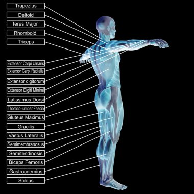 adam kasları ve metin