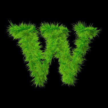Kavram ya da kavramsal yeşil çimen, eko orecology yazı tipi, bir küme veya siyah arka plan üzerine izole koleksiyon parçası