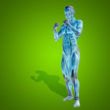 kavramsal stong insan