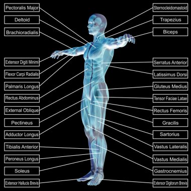 adam kasları ve metin