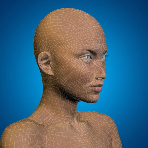 Koncept eller konceptuell 3d trådmodell ung kvinna eller kvinna ansikte eller huvud på blå bakgrund — Stockfoto