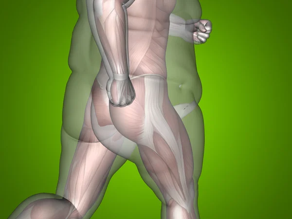 Concept of conceptuele 3d vet overgewicht vs slim fit dieet met spieren jonge man groene achtergrond met kleurovergang — Stockfoto
