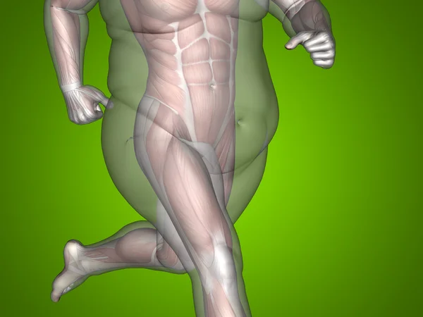 Concept ou concept 3D graisse en surpoids vs alimentation slim fit avec muscles jeune homme vert dégradé fond — Photo