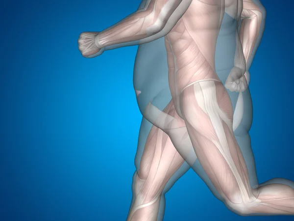 Концепция или концептуальные 3D жир лишний вес против стройный диета с мышцами молодой человек синий градиентный фон — стоковое фото